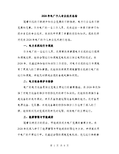 2024年电厂个人专业技术总结(三篇)
