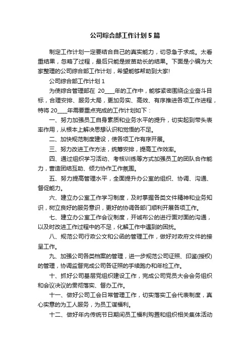 公司综合部工作计划5篇