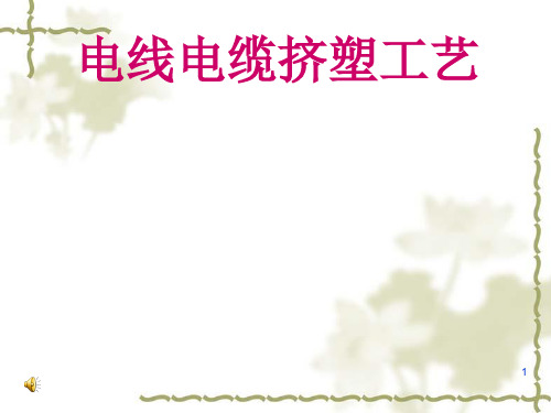 电线电缆挤塑工艺培训学习(ppt28张)