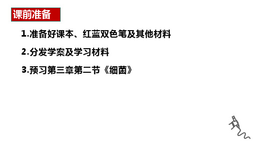 第二节细菌课件2023-2024学年济南版生物七年级 上册