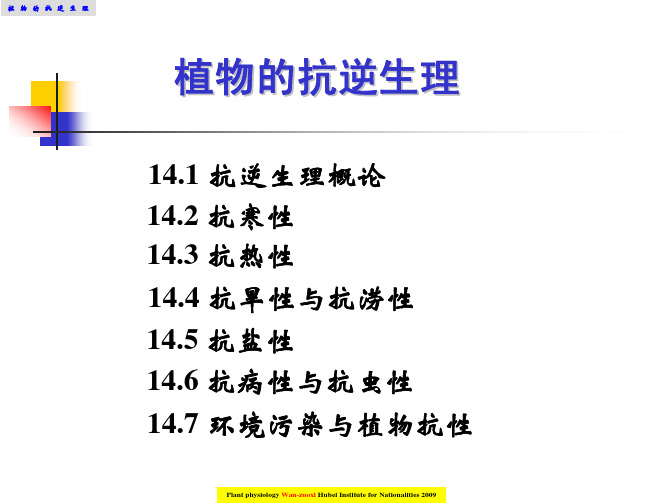 植物的抗逆生理