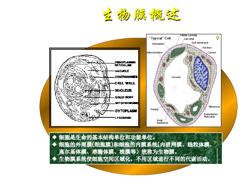 生物化学 细胞膜的结构与功能