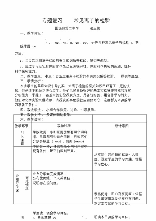 人教版初三化学下册专题复习《常见离子的检验》.doc