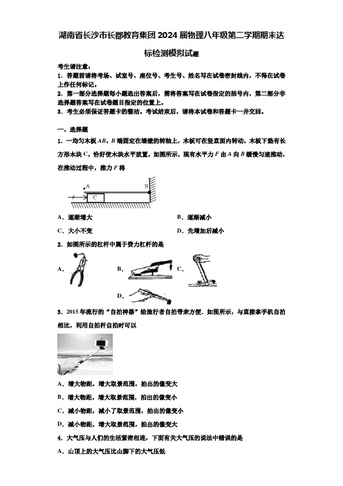 湖南省长沙市长郡教育集团2024届物理八年级第二学期期末达标检测模拟试题含解析