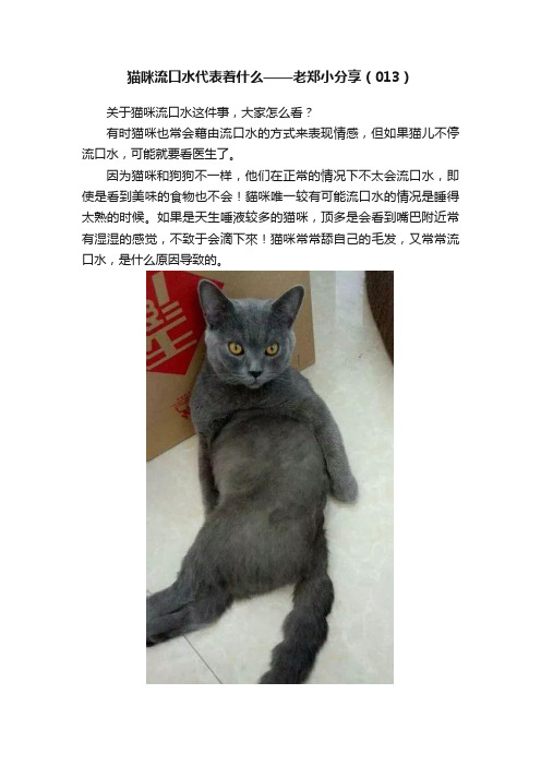 猫咪流口水代表着什么——老郑小分享（013）