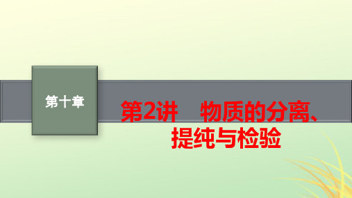 新高考新教材高考化学一轮总复习第十章化学实验基础与综合实验探究第2讲物质的分离提纯与检验pptx课件