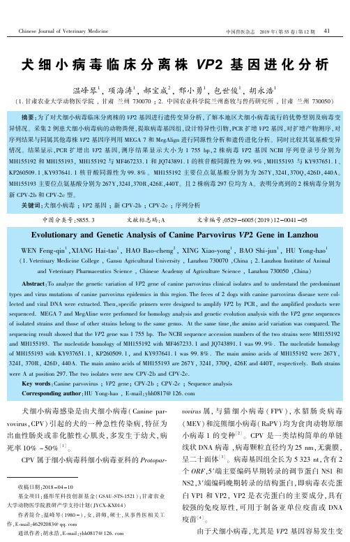 犬细小病毒临床分离株vp2基因进化分析