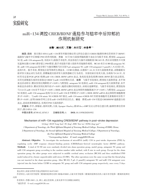 miR-134调控CREBBDNF通路参与脑卒中后抑郁的作用机制研究