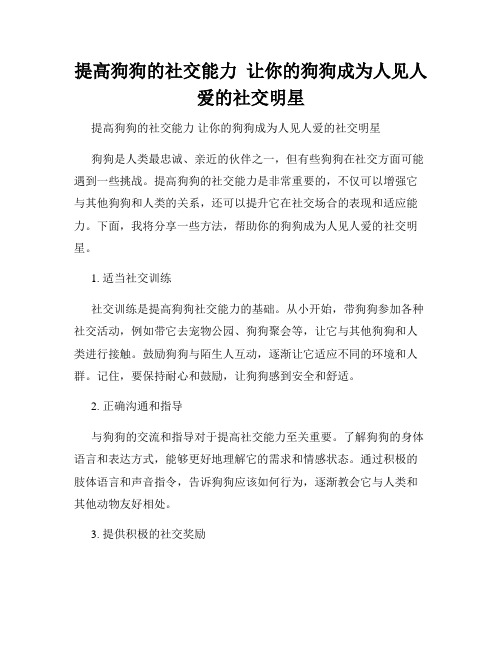 提高狗狗的社交能力  让你的狗狗成为人见人爱的社交明星