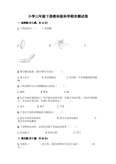 小学三年级下册教科版科学期末测试卷及完整答案(考点梳理)