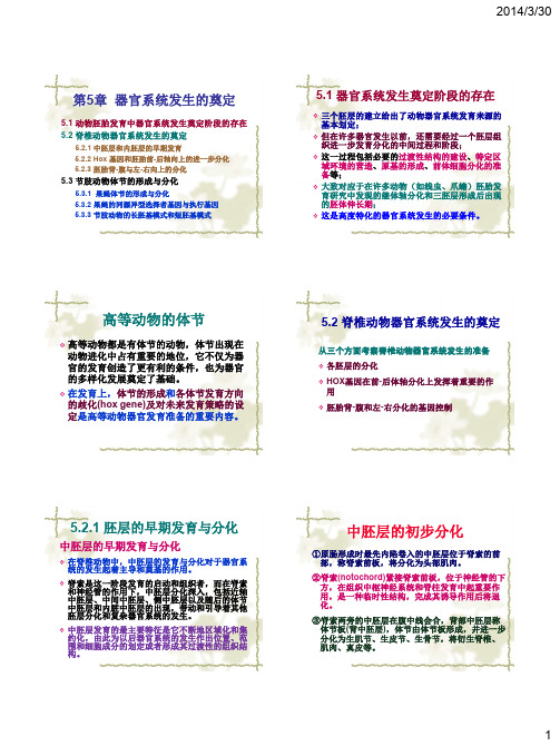 发育生物学第五章器官系统发生的奠定