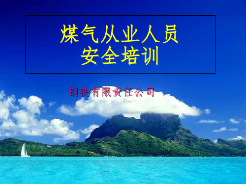 冶金企业煤气从业人员-安全培训