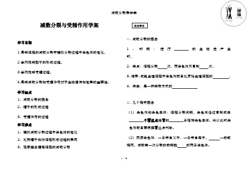 减数分裂导学案