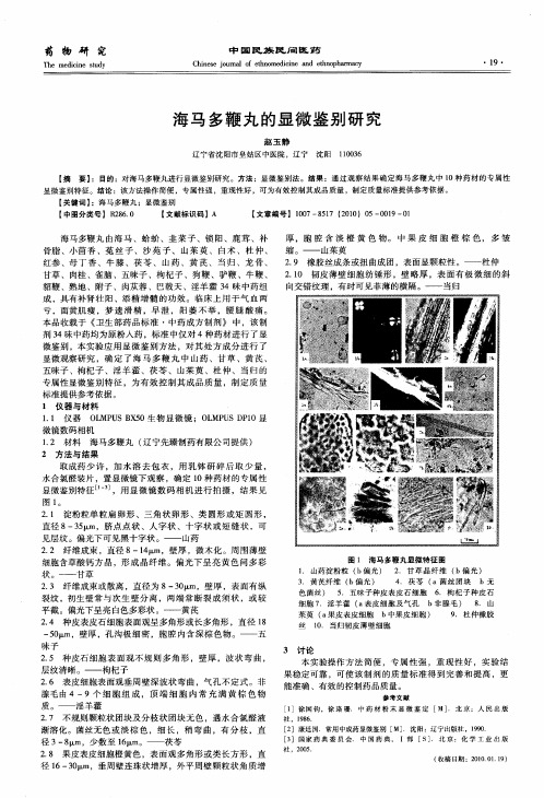 海马多鞭丸的显微鉴别研究