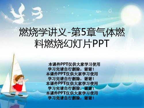 燃烧学讲义-第5章气体燃料燃烧幻灯片PPT