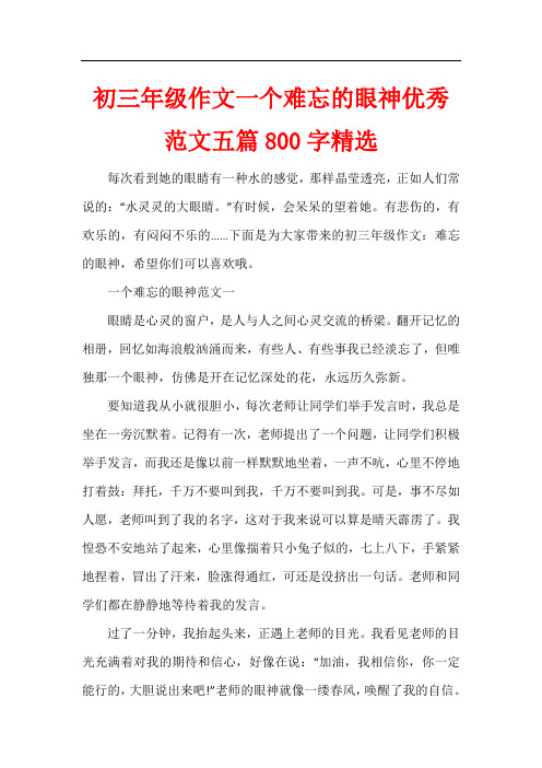 初三年级作文一个难忘的眼神优秀五篇800字精选