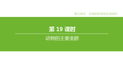 中考生物教材基础知识复习：专题19 动物的主要类群