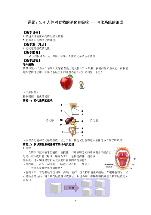 苏科版生物七年级上册 3.5.4 人体对食物的消化和吸收——消化系统的组成 教案  