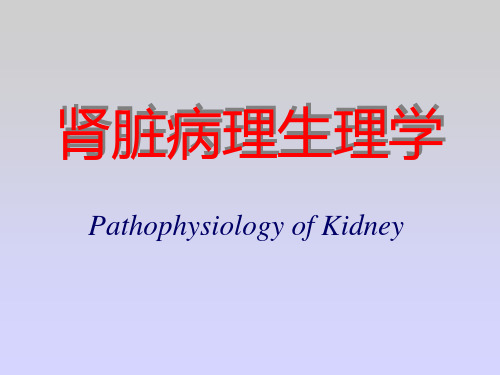 精品医学课件-肾脏病理生理学