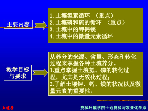 土壤学土壤养分循环