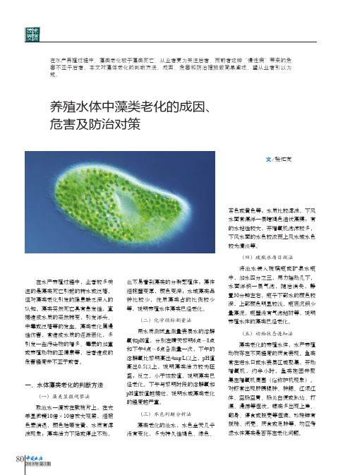 养殖水体中藻类老化的成因、危害及防治对策