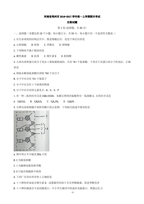 2016-2017学年河南省郑州市高一上学期期末考试生物试题