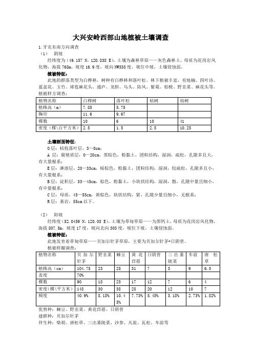 大兴安岭西坡植被土壤状况