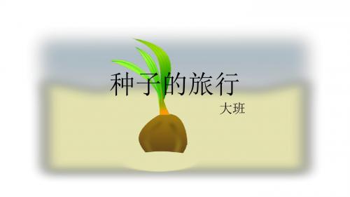 种子的旅行 ppt 课件