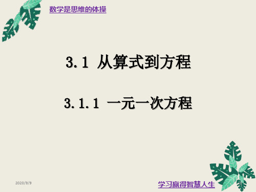 3.1.1一元一次方程-人教版七年级数学上册课件(共20张PPT)