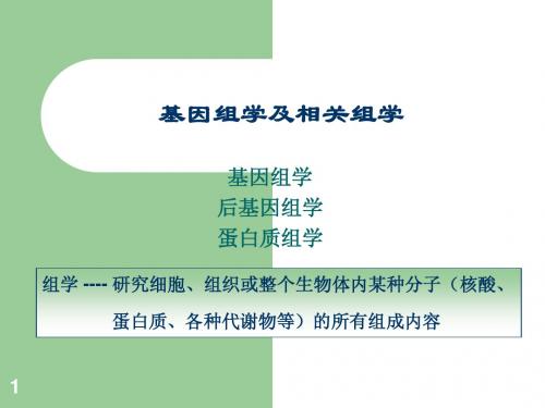 基因组学、功能组学