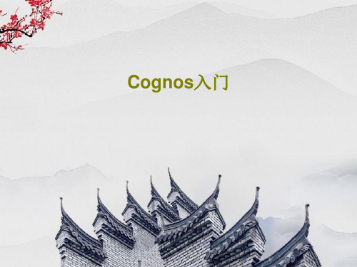 Cognos入门共77页文档