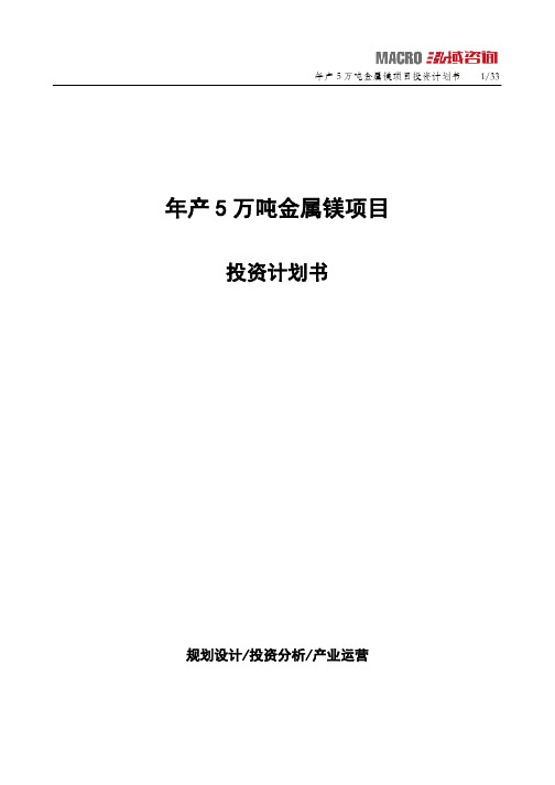 年产5万吨金属镁项目投资计划书