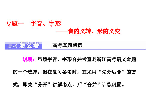 浙江高考复习专题一字音、字形(课堂PPT)