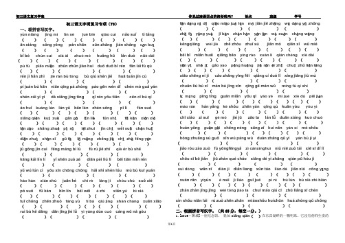 初三语文字词专项