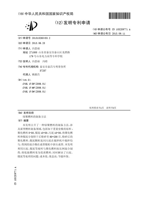 绿聚燃料的制备方法[发明专利]