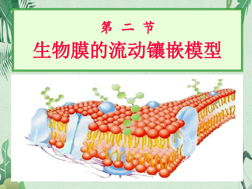 人教生物必修1第4章第2节生物膜的流动镶嵌模型(共26张PPT)(完美版课件)