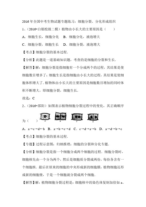 全国中考生物试题专题练习：细胞分裂、分化形成组织(解析版)