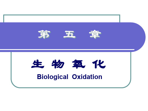 第五章生物氧化2010