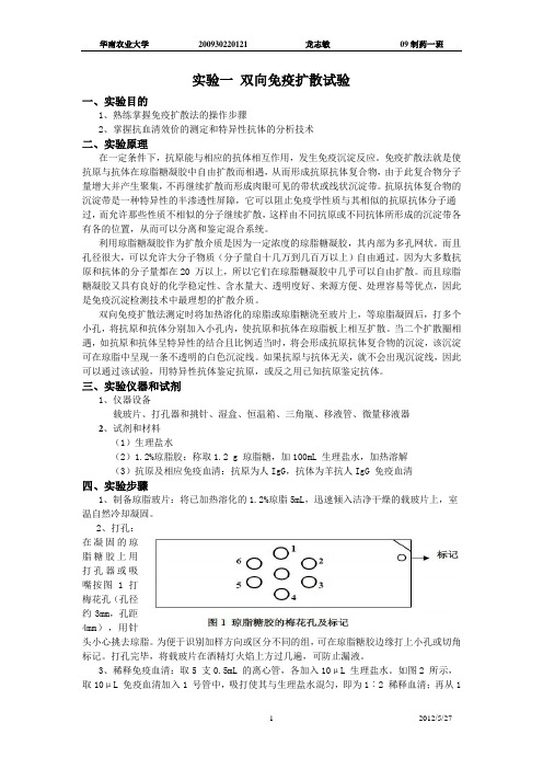 实验一_双向免疫扩散试验