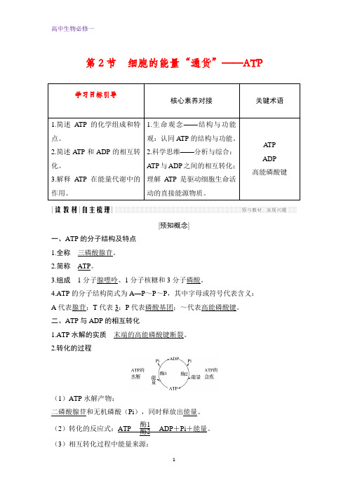 高中生物必修1：5.2 细胞的能量“通货”——ATP学案