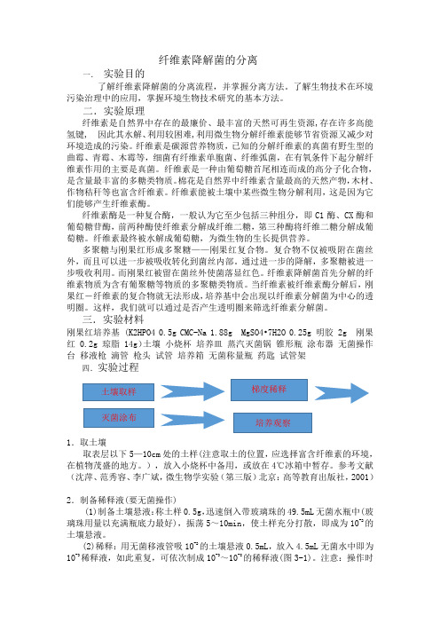 纤维素降解菌的分离