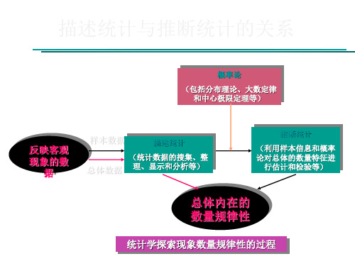 描述统计与推断统计的关系