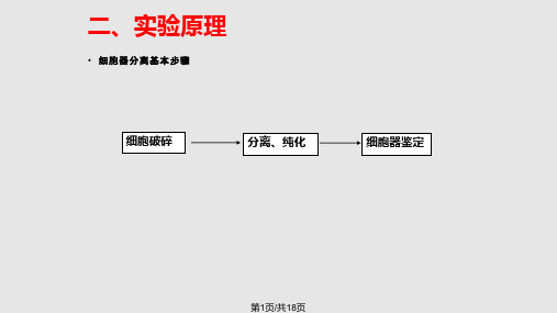 细胞核和线粒体的分离和观察PPT课件