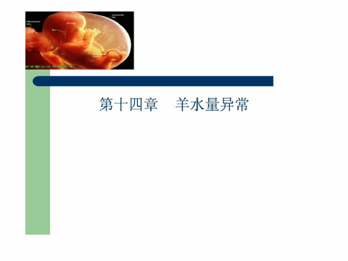 羊水异常讲课优质文档课件