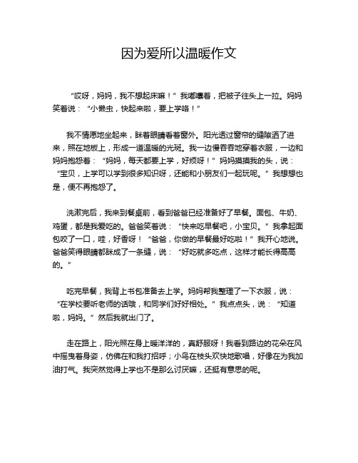 因为爱所以温暖作文