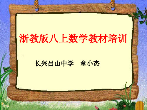 初中数学人教版  数学教材培训1 人教版