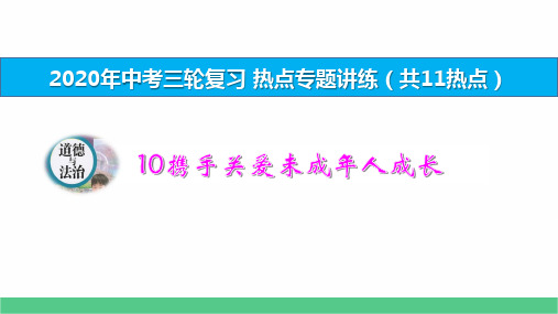 【备考2020】人教版道法(政治)中考三轮复习热点专题讲练10携手关爱未成年人成长