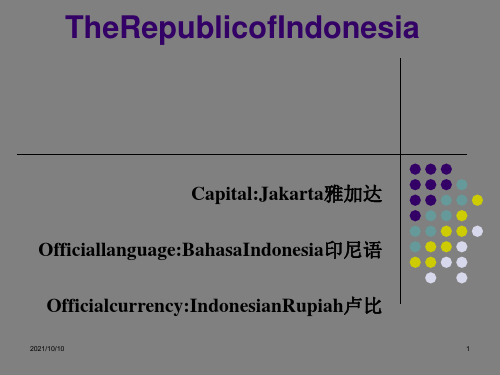 Indonesia印度尼西亚旅游全英文