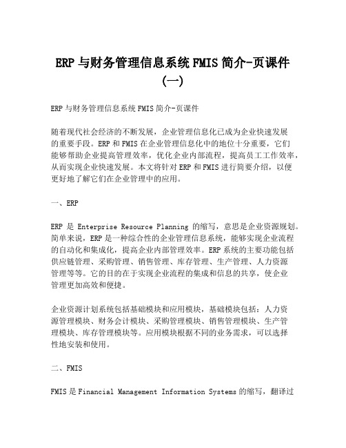 ERP与财务管理信息系统FMIS简介-页课件 (一)