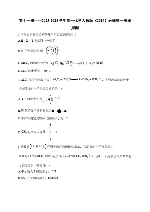 第11周——2024-2025学年高一化学人教版(2019)必修第一册周周测